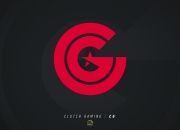 爱游戏-TSM险胜FLY，Vetheo打破历史纪录