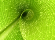 爱游戏官方入口-独一时刻，北京队强压热火，小贾伦总决赛接管比赛的传奇一夜