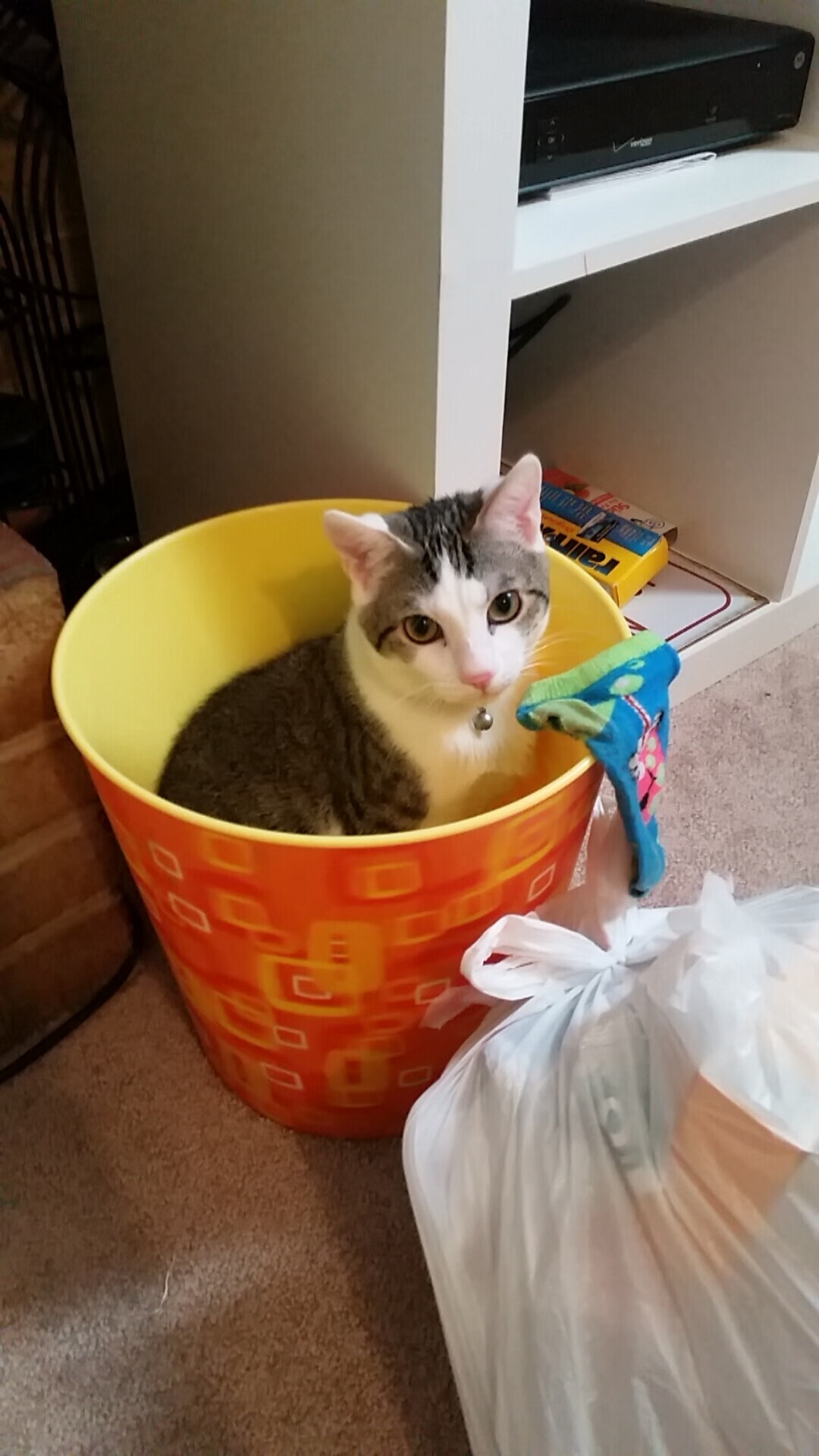 欧冠双城记，曼城稳如磐石，维尼修斯闪耀全场