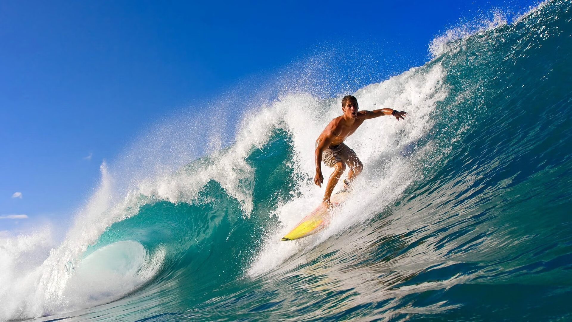 猛龙生死战力克奇才,切特全程高能输出定乾坤